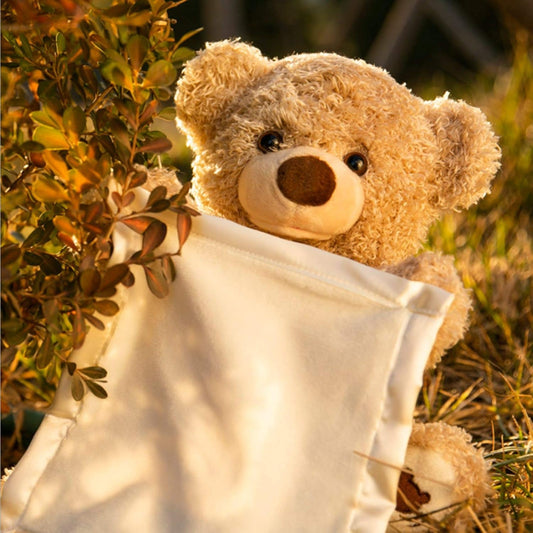 Peekaboo Bear (1 Year Warranty & Rechargeable)