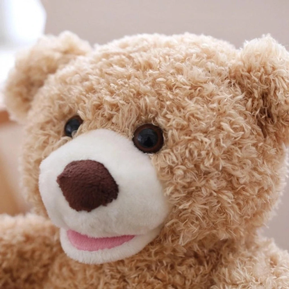 Peekaboo Bear (1 Year Warranty & Rechargeable)